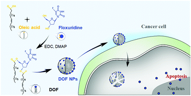 Graphical abstract: Prodrug-based self-assembled nanoparticles formed by 3′,5′-dioleoyl floxuridine for cancer chemotherapy