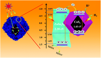 Graphical abstract: Construction of CoSx–ZnIn2S4 hollow nanocages derived from metal–organic frameworks for efficient photocatalytic hydrogen production