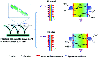 Graphical abstract: The design of an inner-motile waste-energy-driven piezoelectric catalytic system