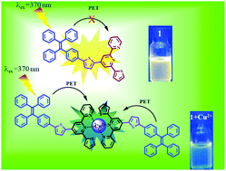 Graphical abstract: Tetraphenylethylene AIEgen bearing thiophenylbipyridine receptor for selective detection of copper(ii) ion