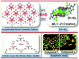 Graphical abstract: Biologically relevant unusual cooperative assemblies and fascinating infinite crown-like supramolecular nitrate–water hosts involving guest complex cations in bipyridine and phenanthroline-based Cu(ii) coordination compounds: antiproliferative evaluation and theoretical studies