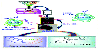 Graphical abstract: The development of a multifunctional 9,10-dibromooctadecanoic acid-encapsulated heterostructure (Ag@Ag2O) as a nanocatalyst against water toxicity