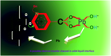 Graphical abstract: A possible channel effect of the organics adsorbed to the electrode surface on interfacial electron transfer in the alkaline Pb electrodeposition process
