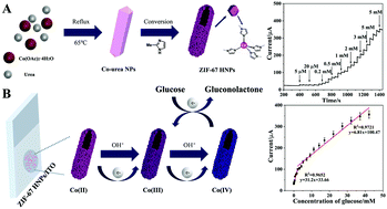 Graphical abstract: Enhanced non-enzymatic glucose sensing based on porous ZIF-67 hollow nanoprisms