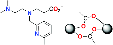 Graphical abstract: Dimeric Mn(ii), Co(ii), Ni(ii) and Cu(ii) complexes of a common carboxylate-appended (2-pyridyl)alkylamine ligand: structure, magnetism and DFT study