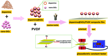 Graphical abstract: Dopamine-coated nano-SiO2-modified PVDF piezoelectric composite film