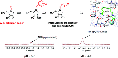 Graphical abstract: Selective Golgi α-mannosidase II inhibitors: N-alkyl substituted pyrrolidines with a basic functional group