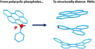 Graphical abstract: Topologically diverse polycyclic aromatic hydrocarbons from pericyclic reactions with polyaromatic phospholes