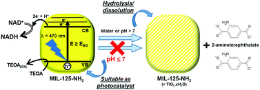 Graphical abstract: Early instability of MIL-125-NH2 in aqueous solution and mediation of the visible photogeneration of an NADH cofactor