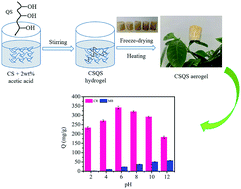 Graphical abstract: Rational design and synthesis of chitosan–quinoa polysaccharide composite aerogel and its adsorption properties for Congo red and methylene blue