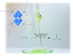 Graphical abstract: A decatungstate-based ionic liquid exhibiting a very low dielectric constant suitable for acting as a solvent and a catalyst for the oxidation of organic substrates