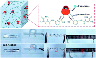 Graphical abstract: A cyclodextrin-phenylboronic acid cross-linked hydrogel with drug hosting, self-healing and pH-sensitive properties for sustained drug release