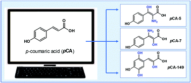 Graphical abstract: Computationally designed p-coumaric acid analogs: searching for neuroprotective antioxidants