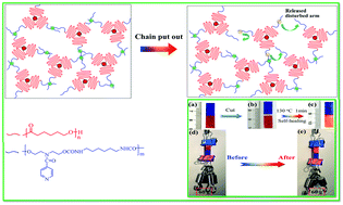 Graphical abstract: New star-shape memory polyurethanes capable of thermally induced recovery and hydrogen bond-self-healing