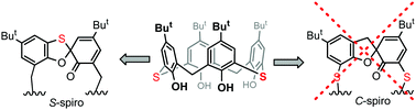 Graphical abstract: Regio- and stereoselectivity of spirodienone formation in 2,14-dithiacalix[4]arene