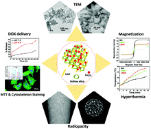 Graphical abstract: Natural rubber latex assisted shape-attuned synthesis of intrinsically radiopaque and magnetic bioceramic nanocomposite with hyperthermia potential for cancer therapeutics