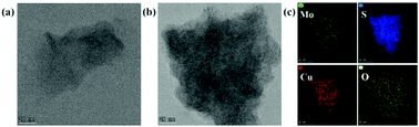 Graphical abstract: A microenvironment-mediated Cu2O–MoS2 nanoplatform with enhanced Fenton-like reaction activity for tumor chemodynamic/photothermal therapy