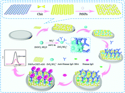 Graphical abstract: A novel site-induced biomolecule anchoring strategy based on solid superacid ZrO2/SO42- for fabricating label-free IgG electrochemical immunosensors