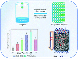 Graphical abstract: High molecular weight polyethylenimine encapsulated into a porous polymer monolithic by one-step polymerization for CO2 capture