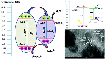 Graphical abstract: Efficient charge transfer on the tunable morphology of TiO2/MoS2 photocatalyst for an enhanced hydrogen production