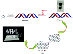 Graphical abstract: Ferrocene-crosslinked polypyrrole hydrogel derived Fe–N-doped hierarchical porous carbon as an efficient electrocatalyst for pH universal ORR and Zn–air batteries