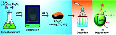 Graphical abstract: Sustainable synthesis of AFe2O4 (A = Mg, Zn, Mn) catalysts: comparing the photooxidative and electrochemical properties towards organic dyes detection and degradation