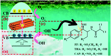 Graphical abstract: Self-induced synthesis under neutral conditions and novel visible light photocatalytic activity of Ag4V2O7 polyoxometalate