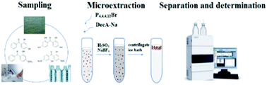 Graphical abstract: A solidified floating organic drop-dispersive liquid–liquid microextraction based on in situ formed fatty acid-based deep eutectic solvents for the extraction of benzophenone-UV filters from water samples