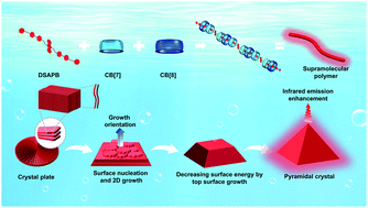 Graphical abstract: Crystallization and near-infrared emission from host–guest based supramolecular polymers