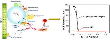 Graphical abstract: Enhanced electrochemiluminescence of Au–Ag bimetallic nanocluster@CNTs–TiO2 nanocomposite and its use in ultra-sensitive immunosensing for CEA