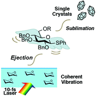 Graphical abstract: Crystallization of highly soluble thioglucopyranoside ejected by coherent molecular vibrational excitation using a visible 10 fs pulsed laser