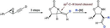 Graphical abstract: Nucleophilic vinylic substitution in bicyclic methyleneaziridines: SNVπ or SNVσ?