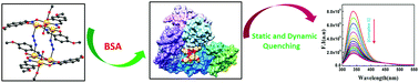 Graphical abstract: Bovine serum albumin interactive one dimensional hexanuclear manganese(iii) complex: synthesis, structure, binding and molecular docking studies