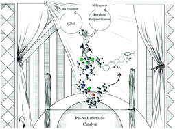 Graphical abstract: Ruthenium–nickel heterobimetallic complex as a bifunctional catalyst for ROMP of norbornene and ethylene polymerization