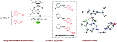 Graphical abstract: Half-sandwich Ru(ii) arene complexes bearing benzimidazole ligands for the N-alkylation reaction of aniline with alcohols in a solvent-free medium