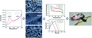 Graphical abstract: Production of novel carbon nanostructures by electrochemical reduction of polychlorinated organic rings under mild conditions for supercapacitors