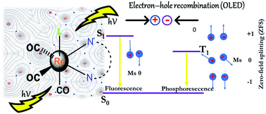 Graphical abstract: The role of zero-field splitting and π-stacking interaction of different nitrogen-donor ligands on the optical properties of luminescent rhenium tricarbonyl complexes