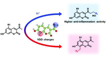 Graphical abstract: Regioselectivity of aminomethylation in 3-acetyl-7-hydroxycoumarins: Mannich bases and Betti bases