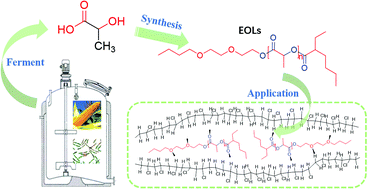 Graphical abstract: Synthesis of novel plasticizer ester end-capped oligomeric lactic acid and its plasticizing performance in poly(vinyl chloride)