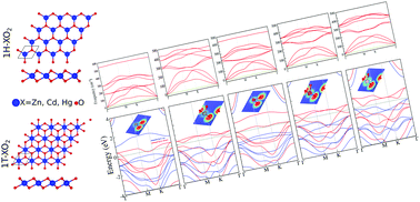 Graphical abstract: Novel two-dimensional ZnO2, CdO2 and HgO2 monolayers: a first-principles-based prediction