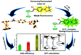 Graphical abstract: Ferrocene-appended boronated ester: effect of cyanovinylene group on the nonlinear optical properties and colorimetric detection of fluoride ion