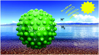 Graphical abstract: A cathodic photocorrosion-assisted strategy to construct a CdS/Pt heterojunction photocatalyst for enhanced photocatalytic hydrogen evolution