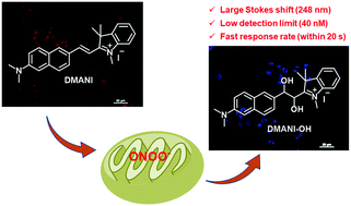 Graphical abstract: ICT-based fluorescent ratiometric probe for monitoring mitochondrial peroxynitrite in living cells