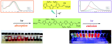 Graphical abstract: Solvatochromic behaviour of new donor–acceptor oligothiophenes