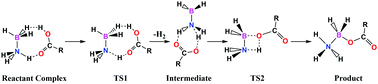 Graphical abstract: Reactivity and mechanisms of hydridic hydrogen of B–H in ammonia borane towards acetic acids: the ammonia B-monoacyloxy boranes