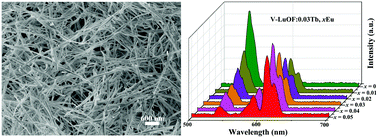 Graphical abstract: The synthesis and multicolor luminescence of lanthanide doped Vernier lutetium oxyfluorides