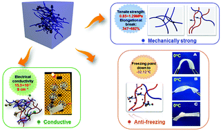 Graphical abstract: A tough, anti-freezing and conductive nanocomposite interpenetrated organohydrogel mediated by hydrogen bonding