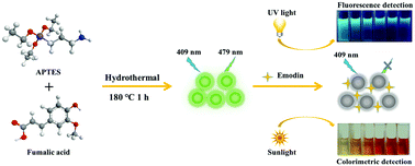 Graphical abstract: Novel water-dispersible silicon nanoparticles as a fluorescent and colorimetric dual-mode probe for emodin detection