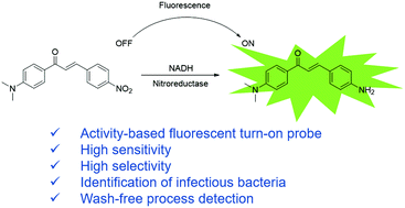 Graphical abstract: A chalcone-based fluorescent responsive probe for selective detection of nitroreductase activity in bacteria