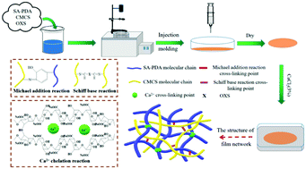 Graphical abstract: Preparation of high-strength and high-toughness biomass medical films based on a polydopamine dynamically united calcium alginate/carboxymethyl chitosan dual network